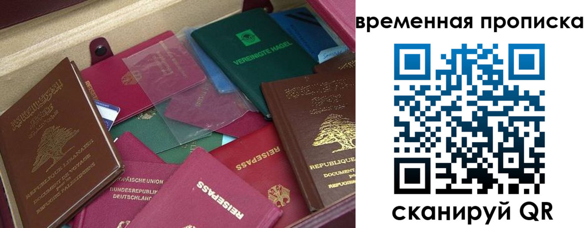прописка в Гаврилов-Яме